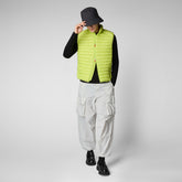 Gilet Adam vert citron pour homme - Homme | Save The Duck