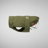 Dog coat Tex in dusty olive - Save The Duck x United Pets | Save The Duck