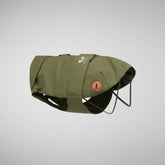 Dog coat Tex in dusty olive - Save The Duck x United Pets | Save The Duck