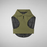 Dog coat Tex in dusty olive - Save The Duck x United Pets | Save The Duck