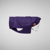 Dog coat Tex in deep purple - Save The Duck x United Pets | Save The Duck