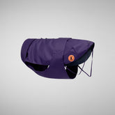 Dog coat Tex in deep purple - Save The Duck x United Pets | Save The Duck