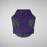 Dog coat Tex in deep purple - Save The Duck x United Pets | Save The Duck