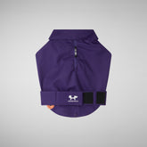 Dog coat Tex in deep purple | Save The Duck