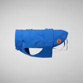 Dog coat Tex in prismic blue | Save The Duck