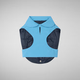 Dog coat Tex in prismic blue - Save The Duck x United Pets | Save The Duck